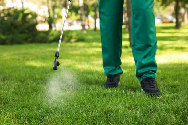 Best Spider Control Near Me  in Nashua, NH