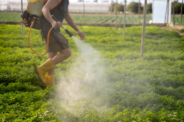 Best Commercial Pest Control Services  in Nashua, NH