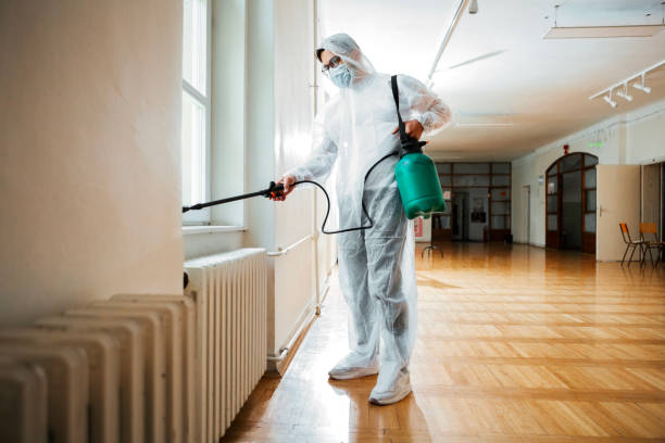 Best Pest Control Treatment  in Nashua, NH